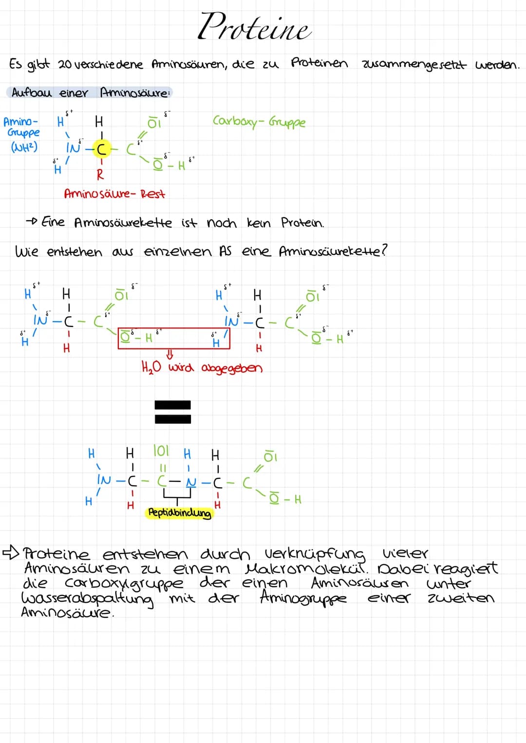 Enzymatik
Experiments
Zucker verbrennen, mit und ohne Asche
ohne Asche:
durch starke Erhitzung
ist der Zucker geschmolzen
tivierungs-
energi
