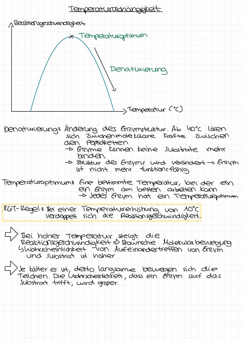 Enzymatik
Experiments
Zucker verbrennen, mit und ohne Asche
ohne Asche:
durch starke Erhitzung
ist der Zucker geschmolzen
tivierungs-
energi