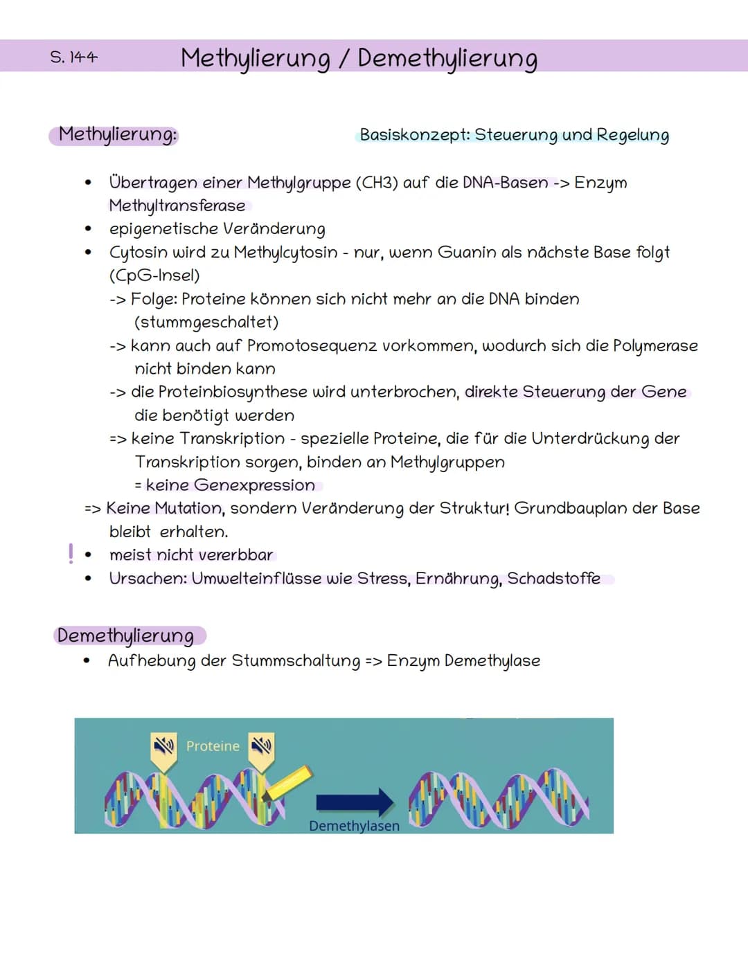 S. 144
Methylierung:
●
●
Methylierung / Demethylierung
●
Übertragen einer Methylgruppe (CH3) auf die DNA-Basen -> Enzym
Methyltransferase
ep