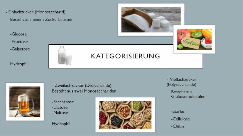 KOHLENHYDRATE Came
GLIEDERUNG
●
●
●
●
●
Was sind Kohlenhydrate?
Was ist deren Nutzen?
Kategorisierung
Wo Kommen Kohlenhydrate vor?
Wie sind 