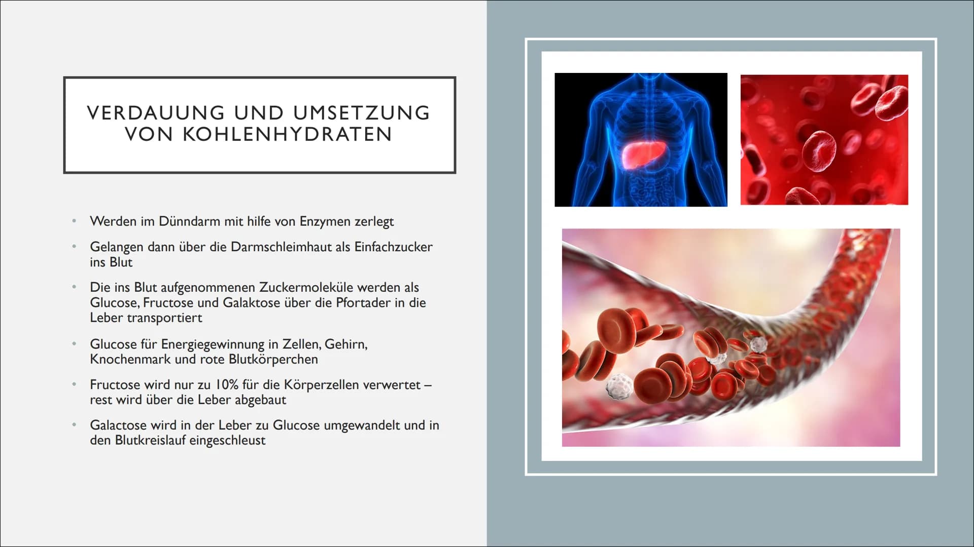 KOHLENHYDRATE Came
GLIEDERUNG
●
●
●
●
●
Was sind Kohlenhydrate?
Was ist deren Nutzen?
Kategorisierung
Wo Kommen Kohlenhydrate vor?
Wie sind 