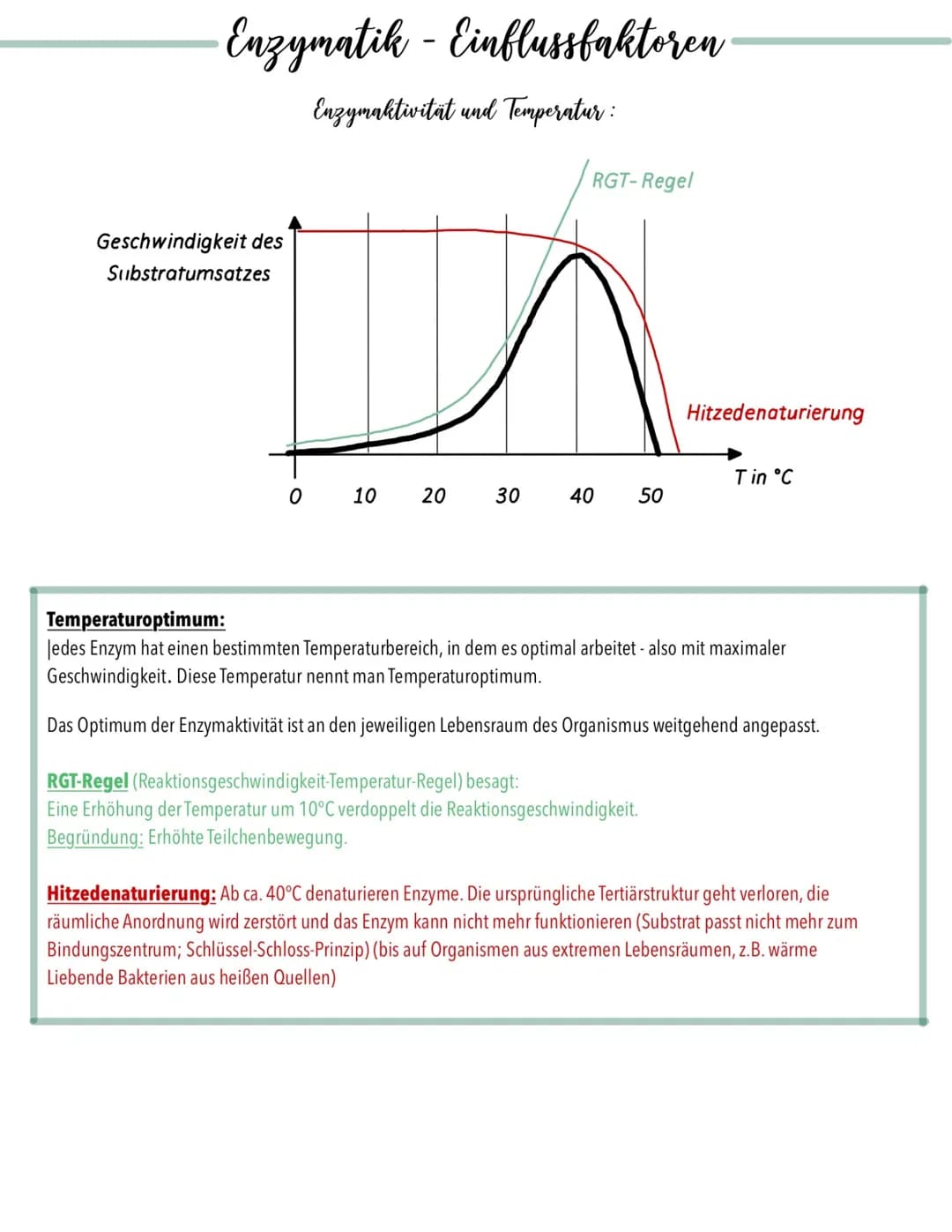 Enzymatik - Einflussfaktoren
Enzymaktivität und Temperatur:
Geschwindigkeit des
Substratumsatzes
0
In
10
20
RGT-Regel
30
40 50
Hitzedenaturi