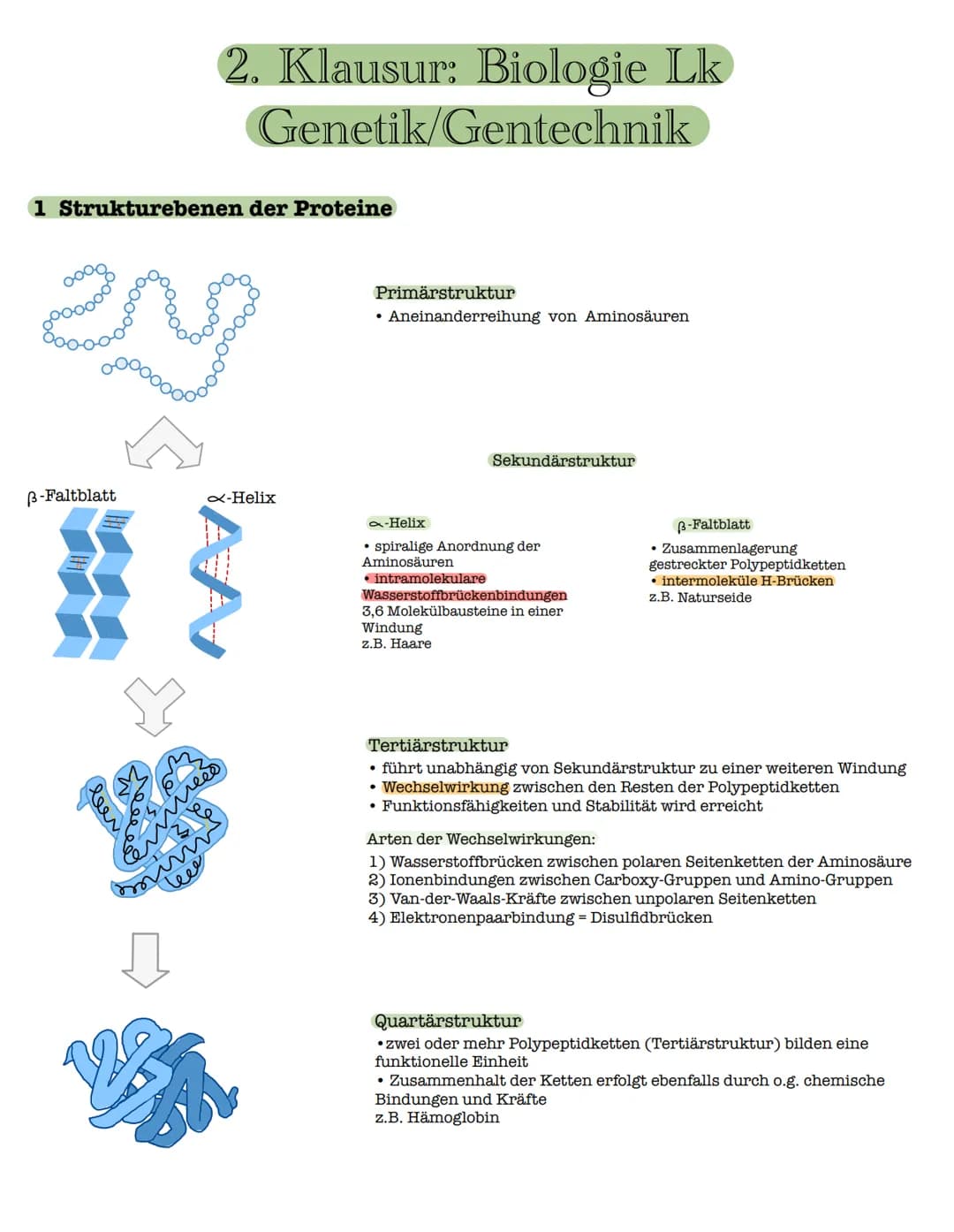 1 Strukturebenen der Proteine
zn
B-Faltblatt
<
2. Klausur: Biologie Lk
Genetik/Gentechnik
n
лесб
∞-Helix
le
↓
VSA
Primärstruktur
• Aneinande