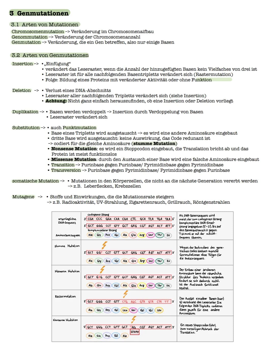 1 Strukturebenen der Proteine
zn
B-Faltblatt
<
2. Klausur: Biologie Lk
Genetik/Gentechnik
n
лесб
∞-Helix
le
↓
VSA
Primärstruktur
• Aneinande