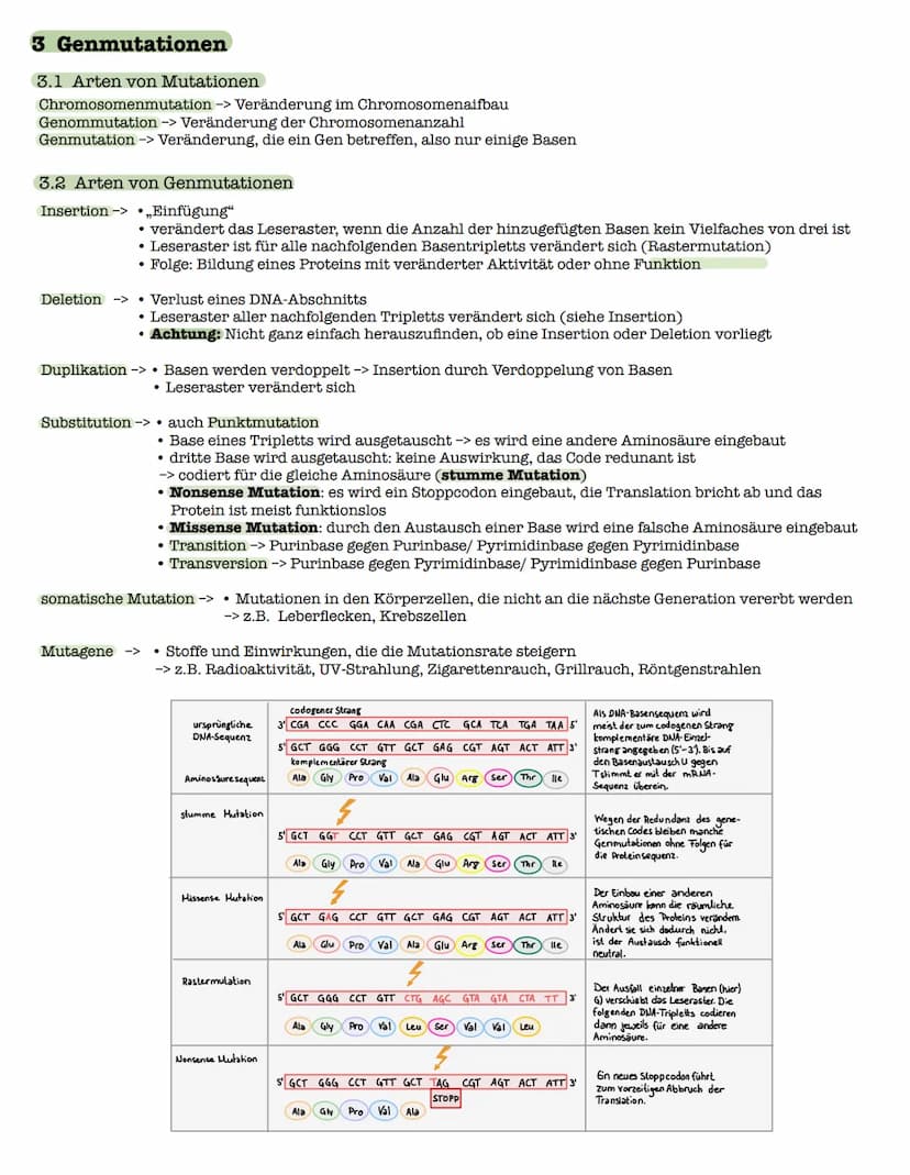 1 Strukturebenen der Proteine
zn
B-Faltblatt
<
2. Klausur: Biologie Lk
Genetik/Gentechnik
n
лесб
∞-Helix
le
↓
VSA
Primärstruktur
• Aneinande
