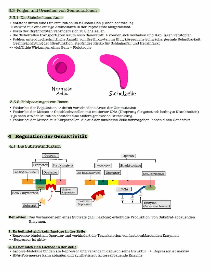 1 Strukturebenen der Proteine
zn
B-Faltblatt
<
2. Klausur: Biologie Lk
Genetik/Gentechnik
n
лесб
∞-Helix
le
↓
VSA
Primärstruktur
• Aneinande