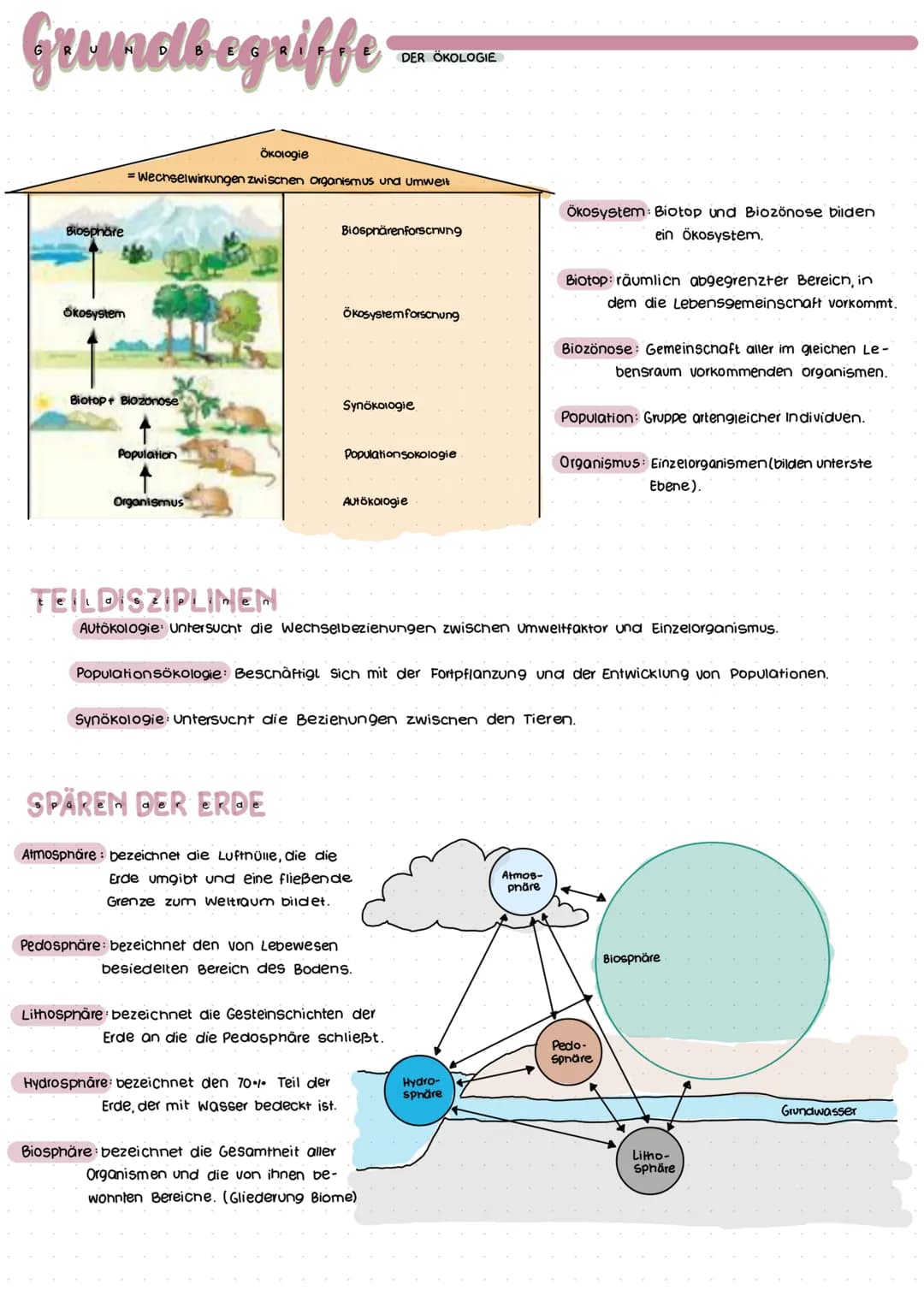 Grumolbegriffe
Biosphäre
Ökosystem
Ökologie
= Wechselwirkungen zwischen Organismus und Umwelt
Biotop+ Biozonose
Population
Organismus
Biosph