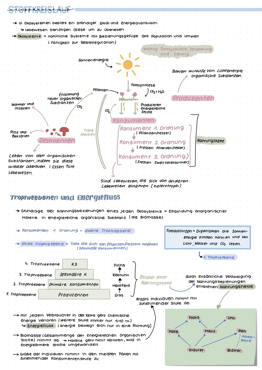 Grumolbegriffe
Biosphäre
Ökosystem
Ökologie
= Wechselwirkungen zwischen Organismus und Umwelt
Biotop+ Biozonose
Population
Organismus
Biosph