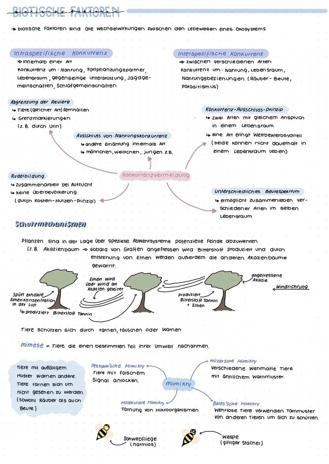 Grumolbegriffe
Biosphäre
Ökosystem
Ökologie
= Wechselwirkungen zwischen Organismus und Umwelt
Biotop+ Biozonose
Population
Organismus
Biosph