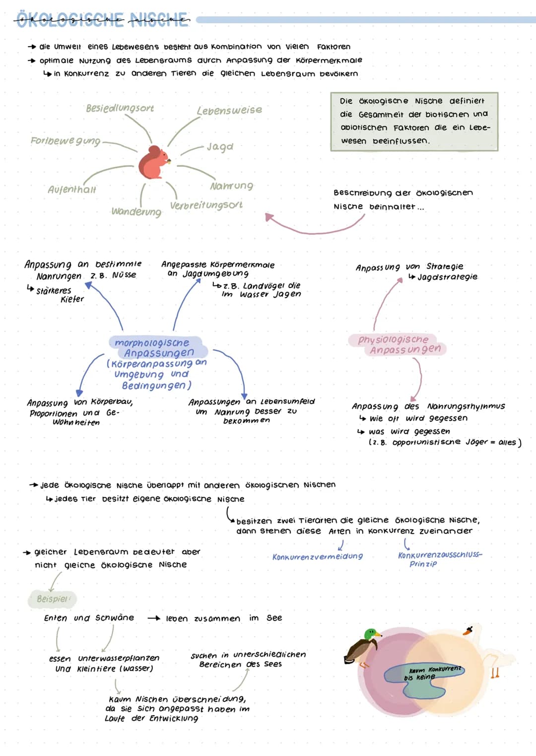 Grumolbegriffe
Biosphäre
Ökosystem
Ökologie
= Wechselwirkungen zwischen Organismus und Umwelt
Biotop+ Biozonose
Population
Organismus
Biosph