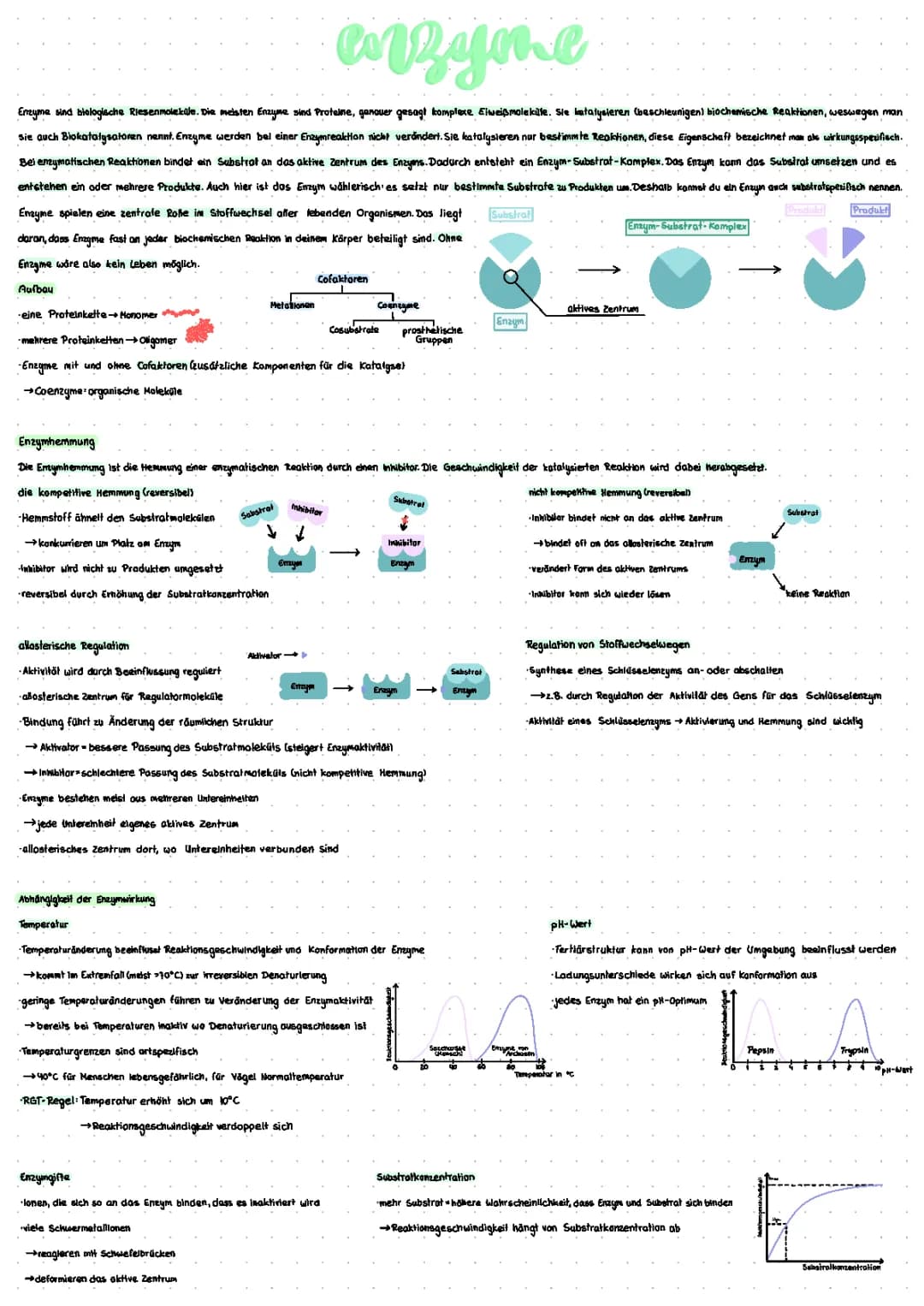Enzyme