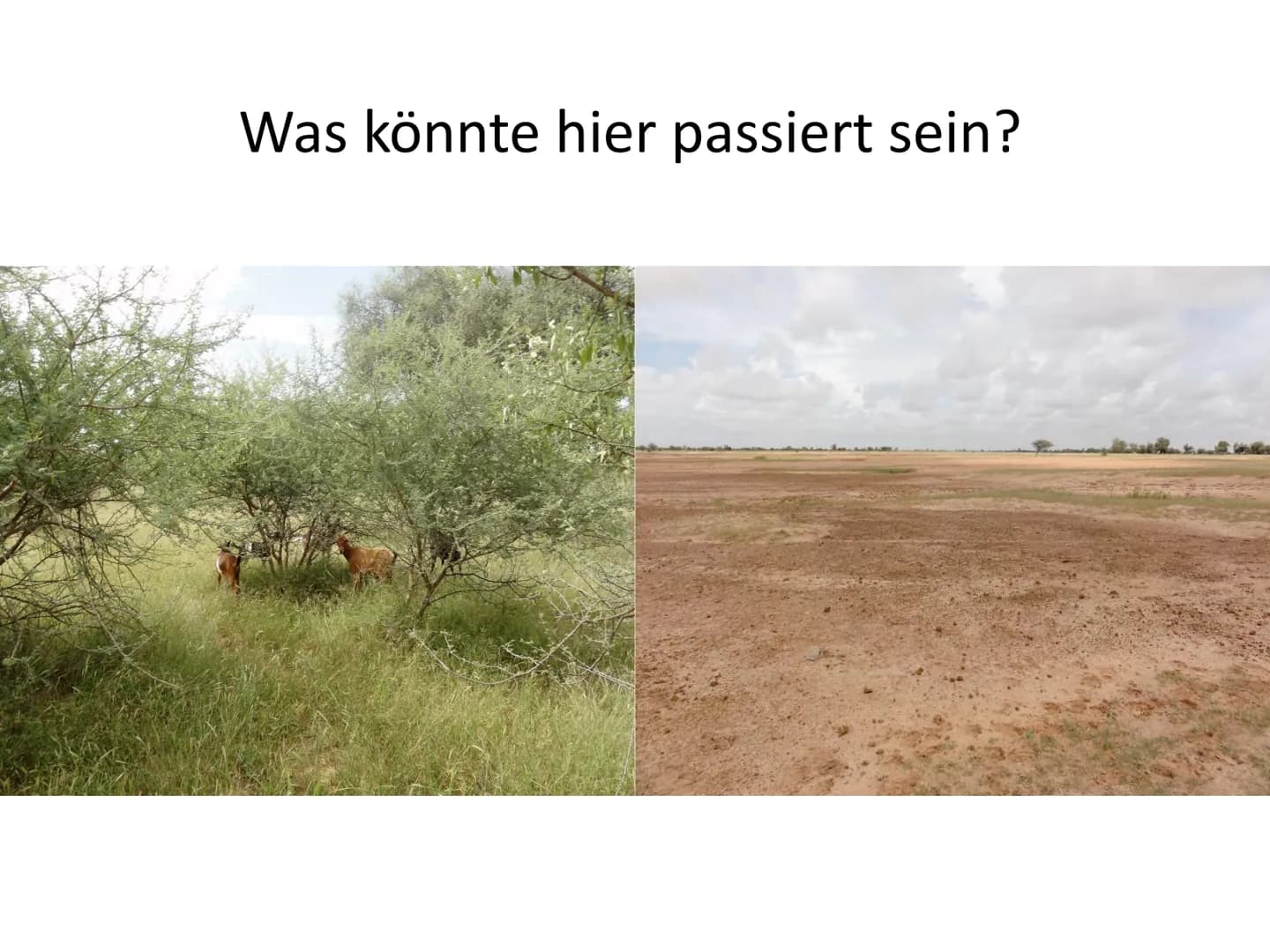 Was könnte hier passiert sein? Desertifikation Gliederung
Was ist Desertifikation?
Fakten
Ursachen
Folgen
Gegenmaßnahmen
Sahelzone
Fazit Was