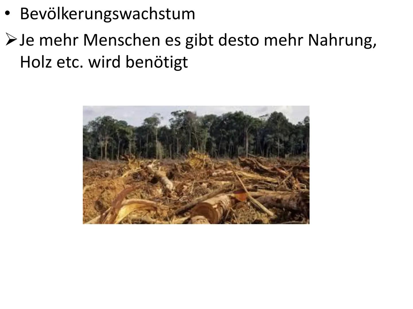 Was könnte hier passiert sein? Desertifikation Gliederung
Was ist Desertifikation?
Fakten
Ursachen
Folgen
Gegenmaßnahmen
Sahelzone
Fazit Was