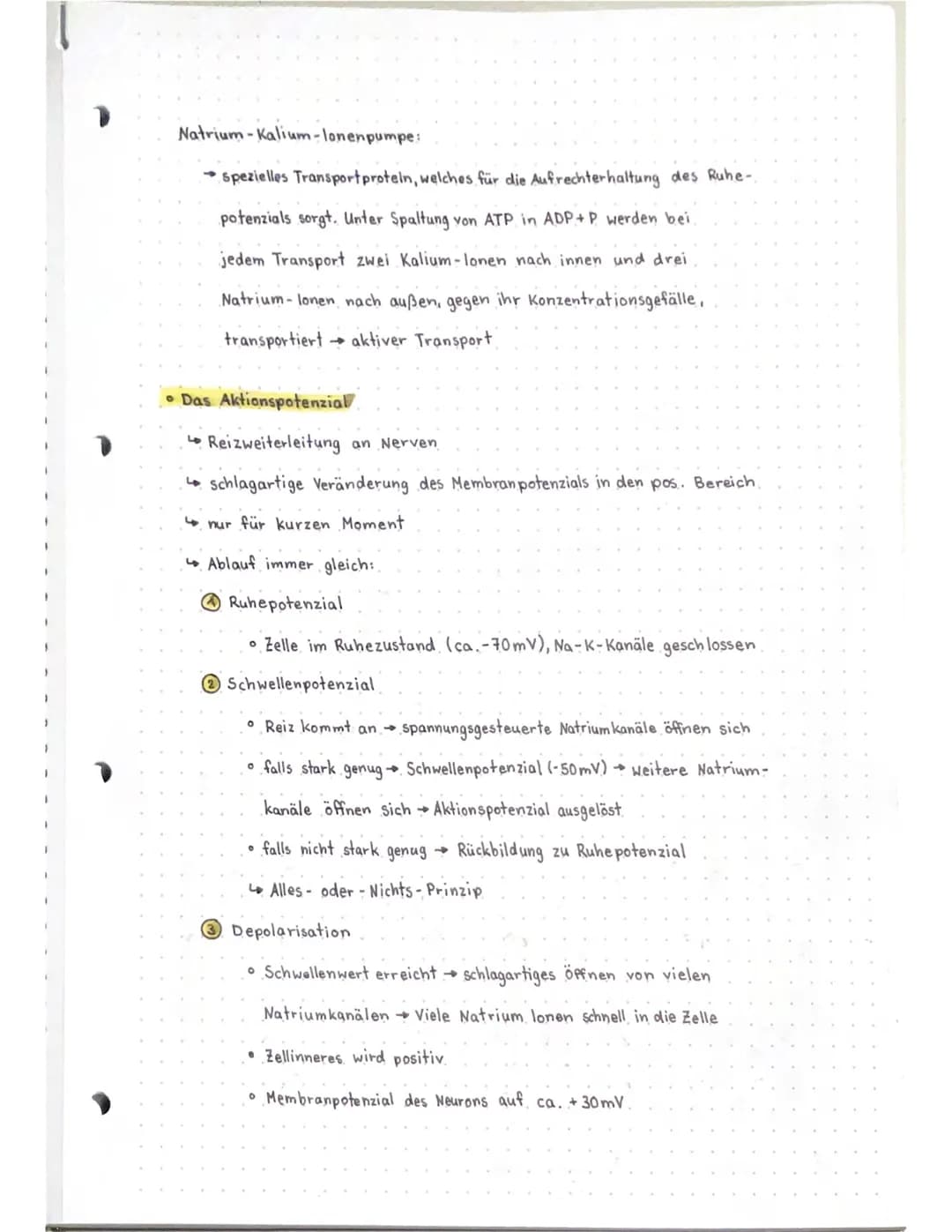 Neurobio
Das Gebiet der Neurobiologie beschäftigt sich mit dem Aufbau und der
Funktionsweise von Nervenzellen (Neuronen) und Nervensystemen.