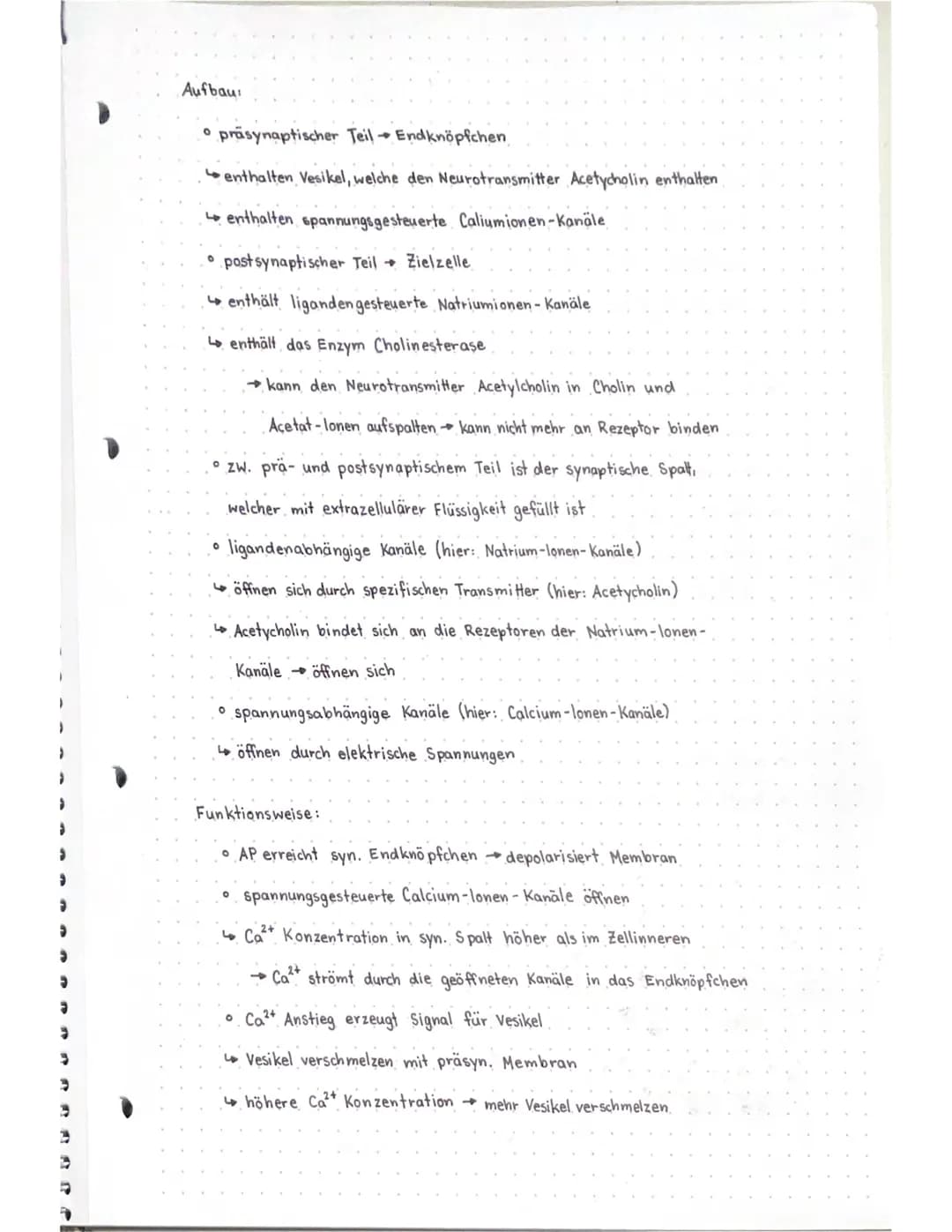 Neurobio
Das Gebiet der Neurobiologie beschäftigt sich mit dem Aufbau und der
Funktionsweise von Nervenzellen (Neuronen) und Nervensystemen.