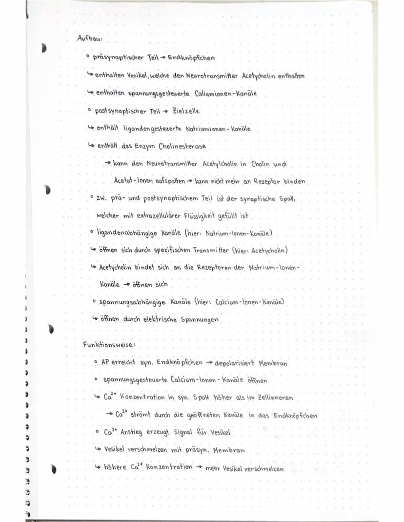 Neurobio
Das Gebiet der Neurobiologie beschäftigt sich mit dem Aufbau und der
Funktionsweise von Nervenzellen (Neuronen) und Nervensystemen.