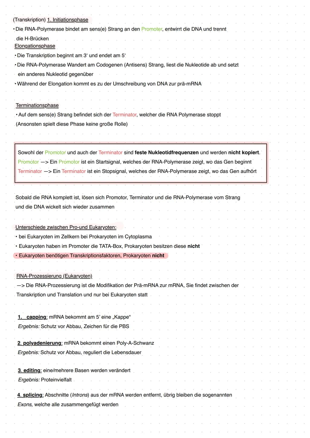 Q1 Von der DNA zum Protein
Aufbau DNA/DNS (Watson Crick Modell)
* gehört eher zur Transkription
DNA Replikation
Basenpaar
Replikationsmodell
