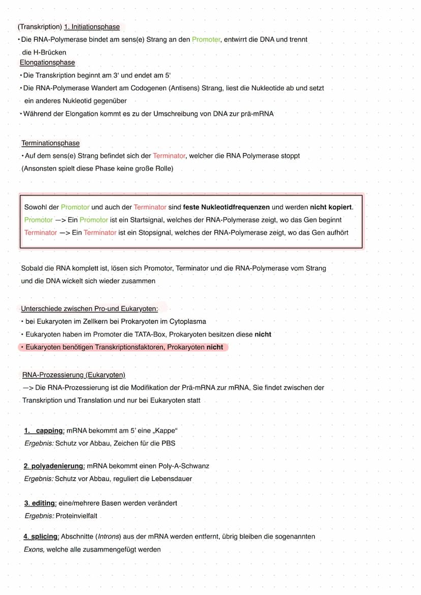 Q1 Von der DNA zum Protein
Aufbau DNA/DNS (Watson Crick Modell)
* gehört eher zur Transkription
DNA Replikation
Basenpaar
Replikationsmodell