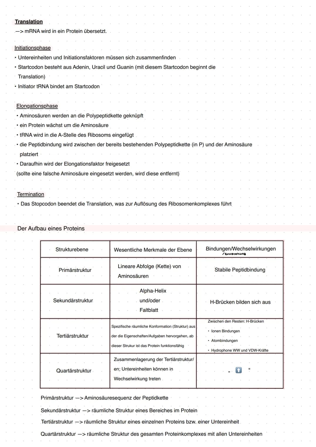 Q1 Von der DNA zum Protein
Aufbau DNA/DNS (Watson Crick Modell)
* gehört eher zur Transkription
DNA Replikation
Basenpaar
Replikationsmodell