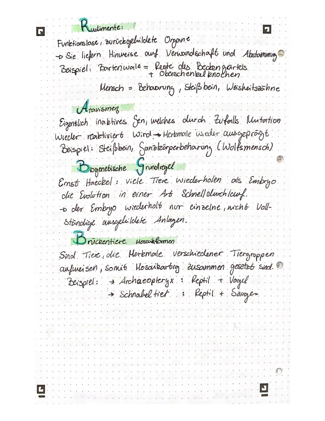 r
IG
Rudimente:
Funktionslose, zurückgebildete Orgaine.
→ Sie liefern Hinweise auf Verwandschaft und Abstammung
Beispiel: Barten wale = Rest