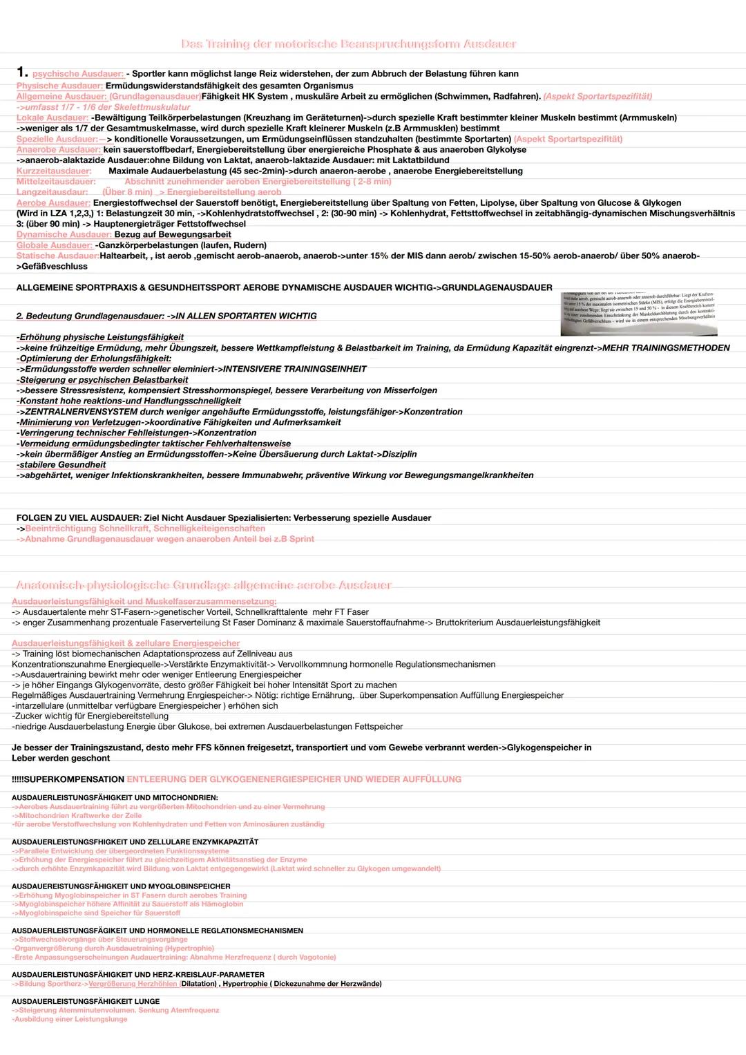 Allgemeine Grundlagen zum Herz-Kreislaufsystem
Funktion & Aufgaben: Verbindung aller Körperorgane zu funktionellen Einheit
Übersicht und Auf
