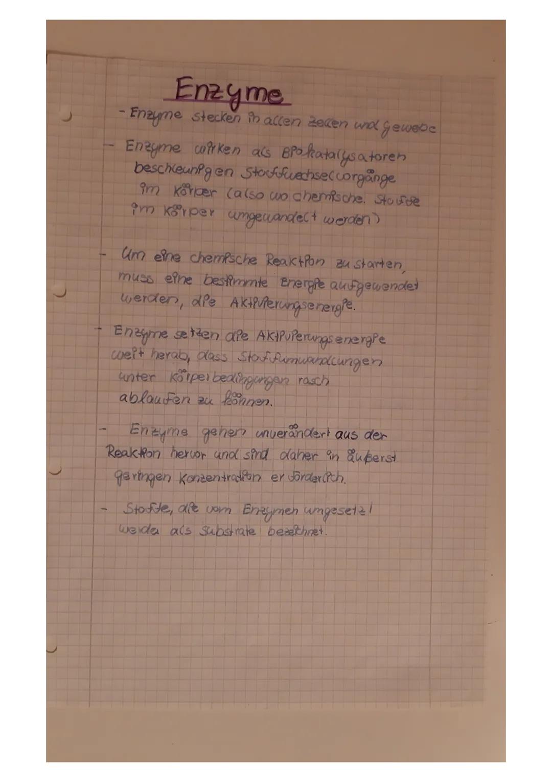 Enzyme
- Enzyme stecken in allen Zellen und Gewebe
Enzyme wirken als BPO katalysatoren
beschleunigen Stoffwechsel corgånge
im Körper (also w