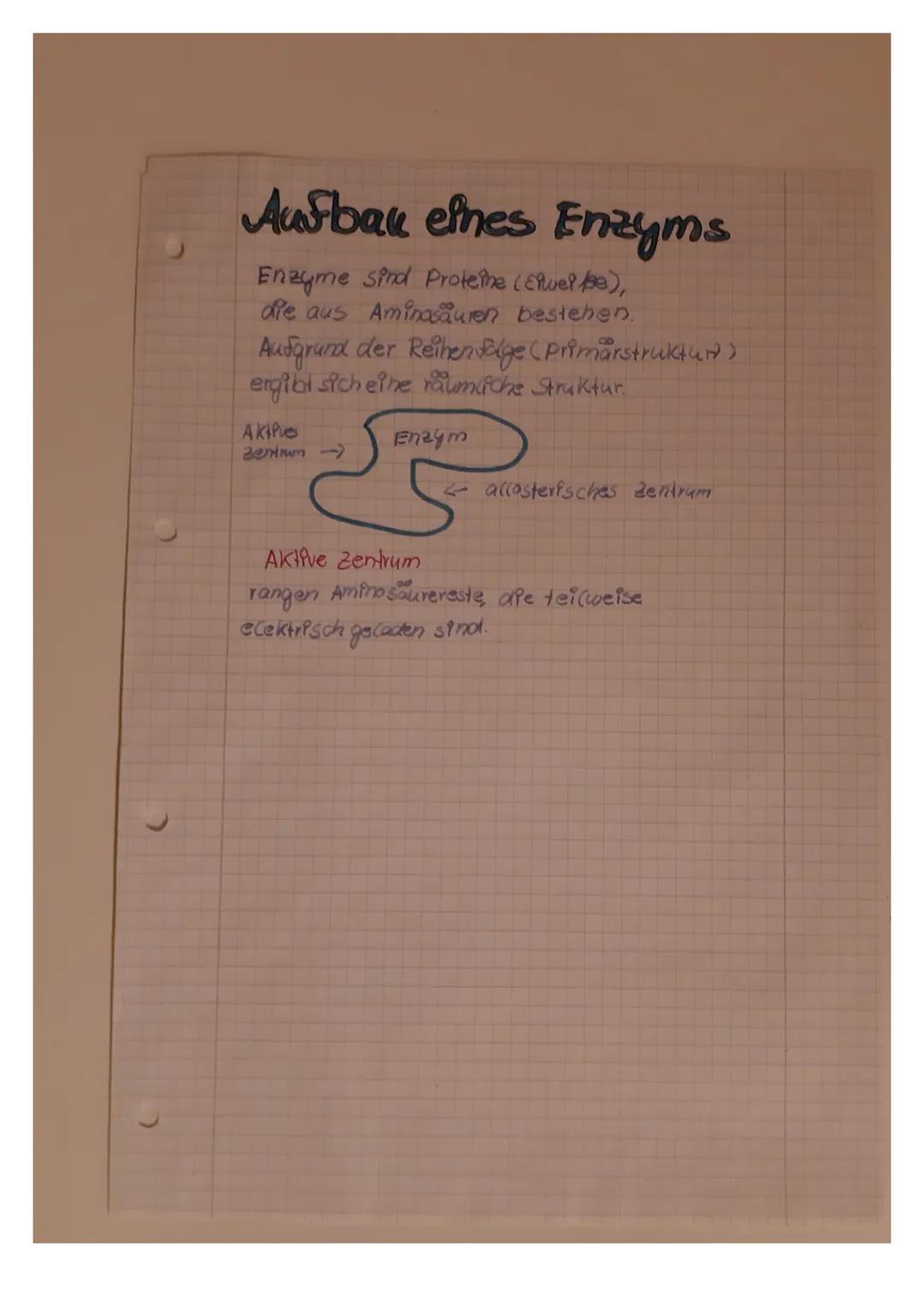 Enzyme
- Enzyme stecken in allen Zellen und Gewebe
Enzyme wirken als BPO katalysatoren
beschleunigen Stoffwechsel corgånge
im Körper (also w