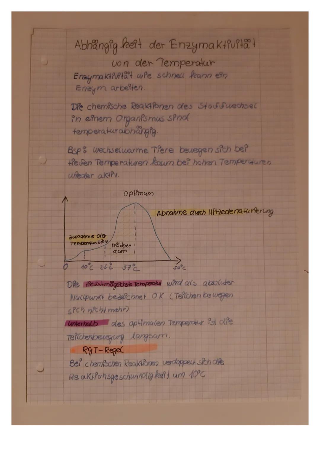 Enzyme
- Enzyme stecken in allen Zellen und Gewebe
Enzyme wirken als BPO katalysatoren
beschleunigen Stoffwechsel corgånge
im Körper (also w