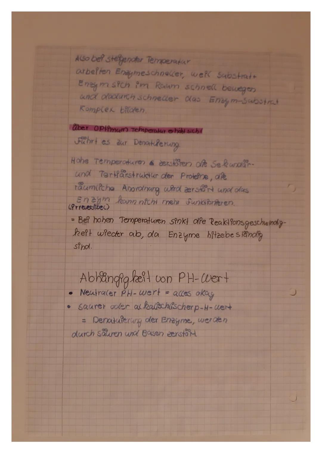 Enzyme
- Enzyme stecken in allen Zellen und Gewebe
Enzyme wirken als BPO katalysatoren
beschleunigen Stoffwechsel corgånge
im Körper (also w