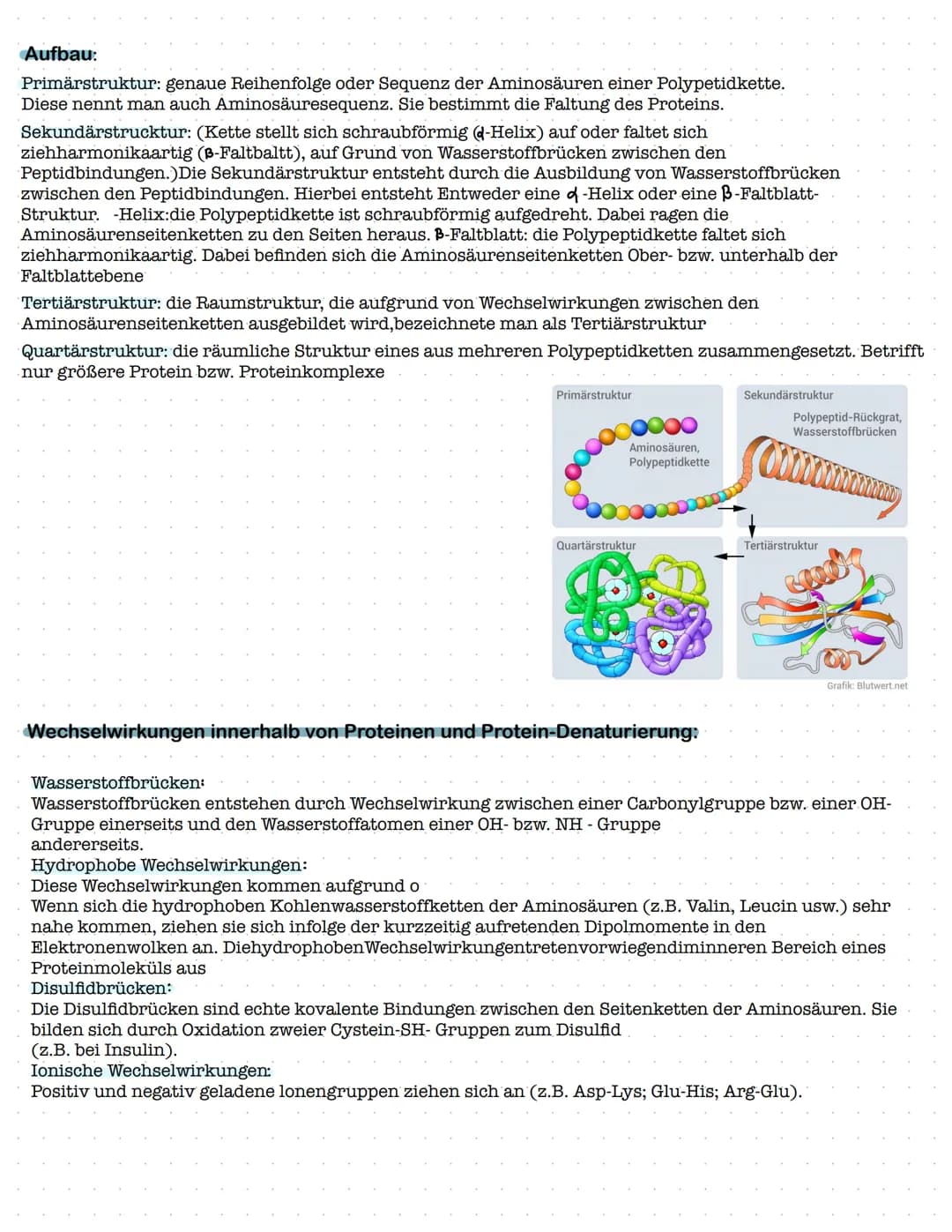 Proteinbiosynthese
1. Aufbau und Funktion von Proteinen
- Aufbau von Aminosäuren und Peptidbindung
Biologie Klausur Nr.2
- Wechselwirkungen 