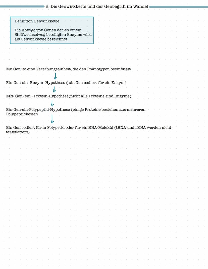 Proteinbiosynthese
1. Aufbau und Funktion von Proteinen
- Aufbau von Aminosäuren und Peptidbindung
Biologie Klausur Nr.2
- Wechselwirkungen 
