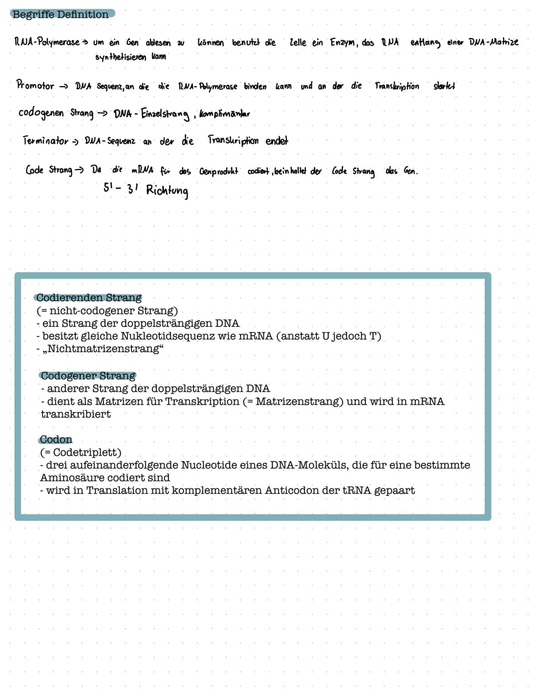Proteinbiosynthese
1. Aufbau und Funktion von Proteinen
- Aufbau von Aminosäuren und Peptidbindung
Biologie Klausur Nr.2
- Wechselwirkungen 