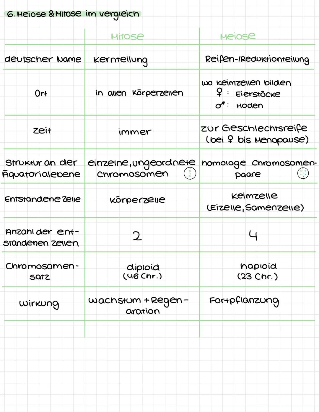 Biologie
(Lernzettel I.Kurzarbeit)
1. Grundwissen
- Biologische Arbeitsweisen:
  * Experimentieren
  * Vergleichen
  * Betrachten
  * Unters