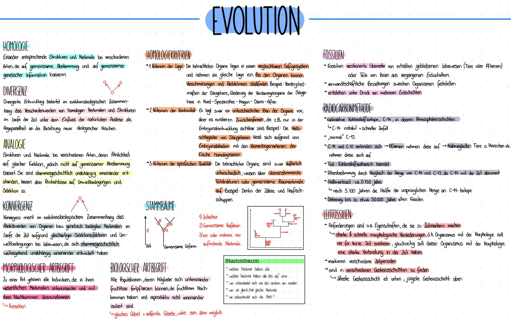 Evolution HOMOLOGIE
Einander entsprechende Strukturen und Merkmale bei verschiedenen
Arten, die auf gemeinsame Abstammung und auf gemeinsame
