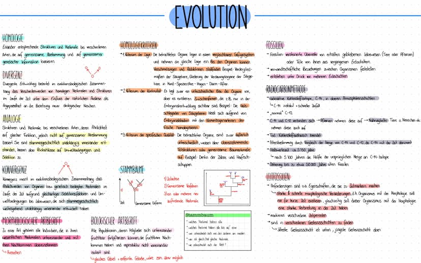 Evolution HOMOLOGIE
Einander entsprechende Strukturen und Merkmale bei verschiedenen
Arten, die auf gemeinsame Abstammung und auf gemeinsame