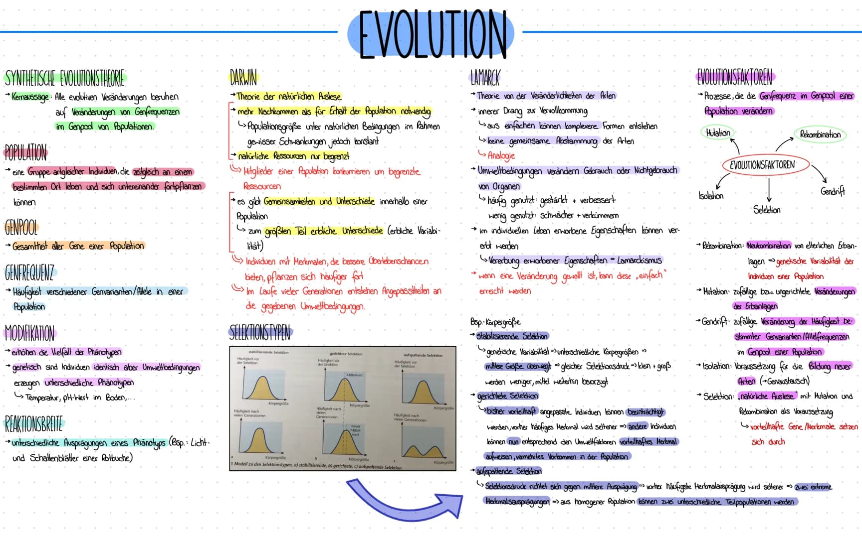 Evolution HOMOLOGIE
Einander entsprechende Strukturen und Merkmale bei verschiedenen
Arten, die auf gemeinsame Abstammung und auf gemeinsame