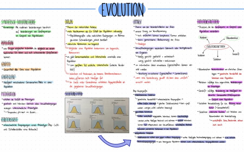 Evolution HOMOLOGIE
Einander entsprechende Strukturen und Merkmale bei verschiedenen
Arten, die auf gemeinsame Abstammung und auf gemeinsame