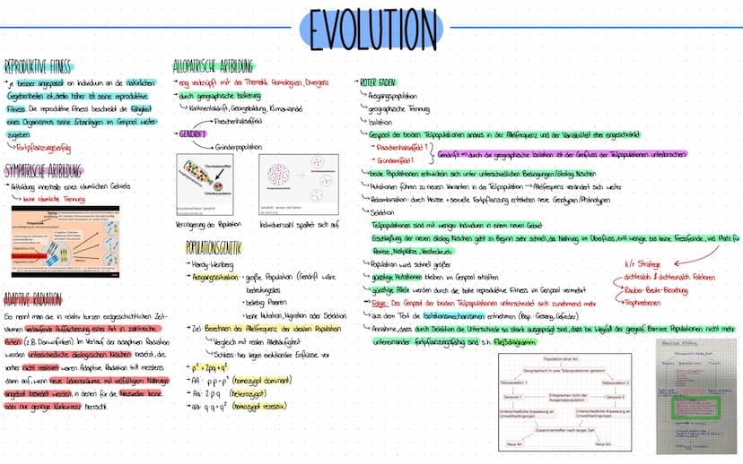 Evolution HOMOLOGIE
Einander entsprechende Strukturen und Merkmale bei verschiedenen
Arten, die auf gemeinsame Abstammung und auf gemeinsame