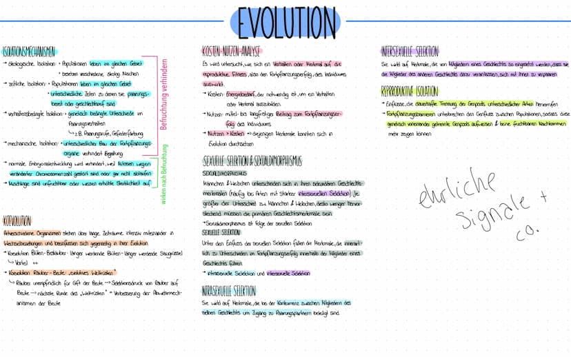 Evolution HOMOLOGIE
Einander entsprechende Strukturen und Merkmale bei verschiedenen
Arten, die auf gemeinsame Abstammung und auf gemeinsame