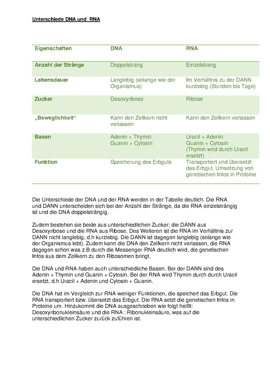 DNA RNA Unterschiede 