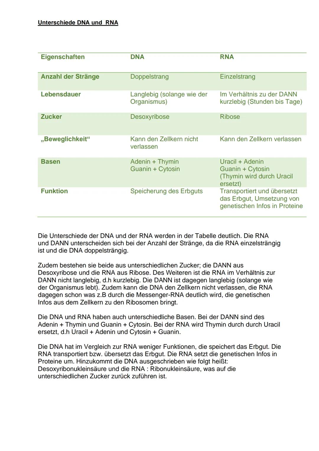 Unterschiede DNA und RNA
Eigenschaften
Anzahl der Stränge
Lebensdauer
Zucker
,,Beweglichkeit"
Basen
Funktion
DNA
Doppelstrang
Langlebig (sol