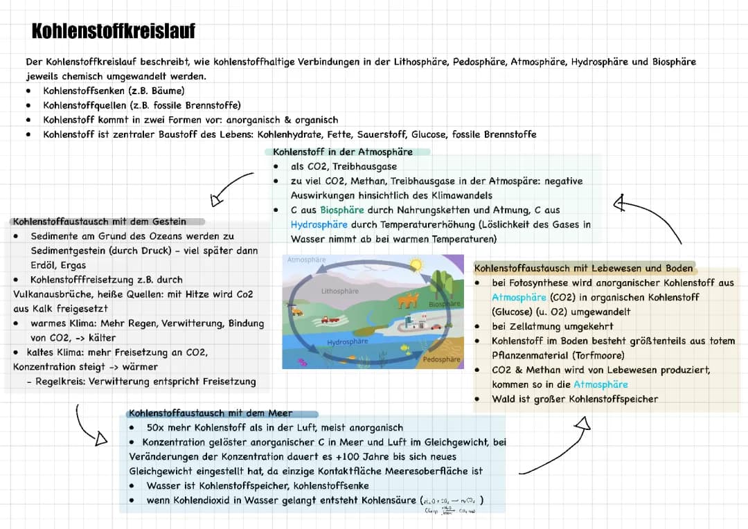 Stoffkreisläufe Ökologie