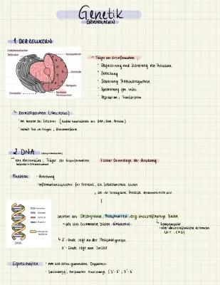 Know Genetik - Grundlagen  thumbnail