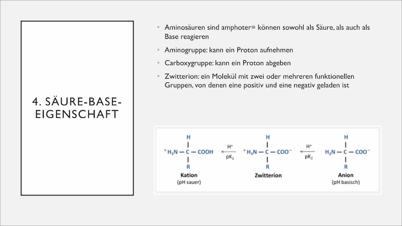 AMINOSÄUREN: DIE „BAUSTEINE DES
LEBENS"
Eine Präsentation von @susu notes I.
2.
3.
4.
5.
6.
7.
8.
9.
10.
II.
12.
GLIEDERUNG
Allgemeine Infor
