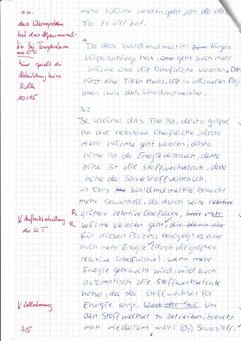 Bi-2
Name:
Datum: 19.03.21
Fachliche Leistung: 52/72
Punkte: O
Note: 2 -
Stai Jungen
Abzug von Bewertungseinheiten für mangelnde sprachliche