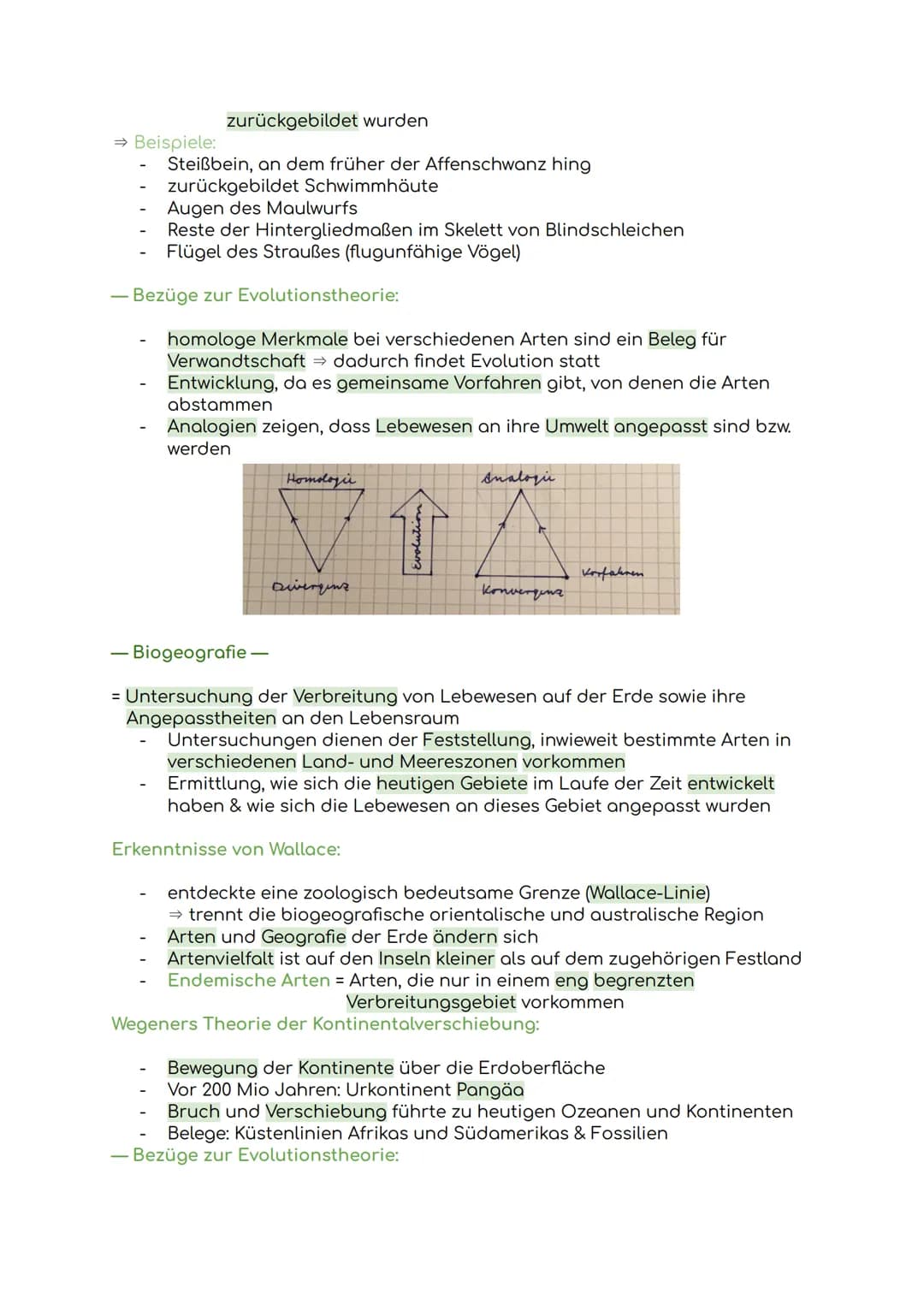Lernzettel Evolution
Evolution = Die allmähliche Veränderung und Entwicklung vererbbarer
Merkmale von Individuen einer Population durch das 