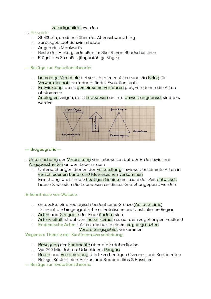 Lernzettel Evolution
Evolution = Die allmähliche Veränderung und Entwicklung vererbbarer
Merkmale von Individuen einer Population durch das 