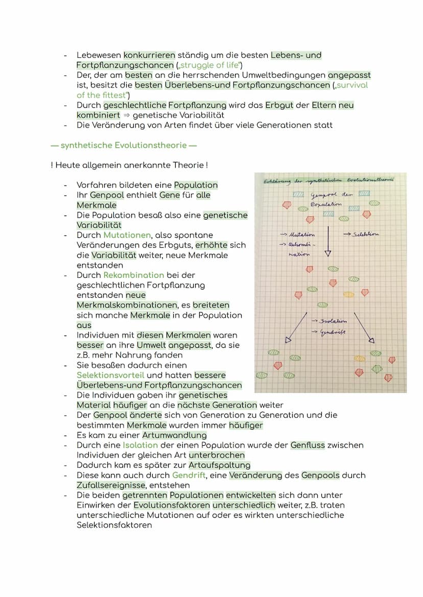 Lernzettel Evolution
Evolution = Die allmähliche Veränderung und Entwicklung vererbbarer
Merkmale von Individuen einer Population durch das 