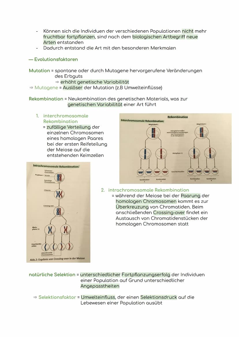 Lernzettel Evolution
Evolution = Die allmähliche Veränderung und Entwicklung vererbbarer
Merkmale von Individuen einer Population durch das 