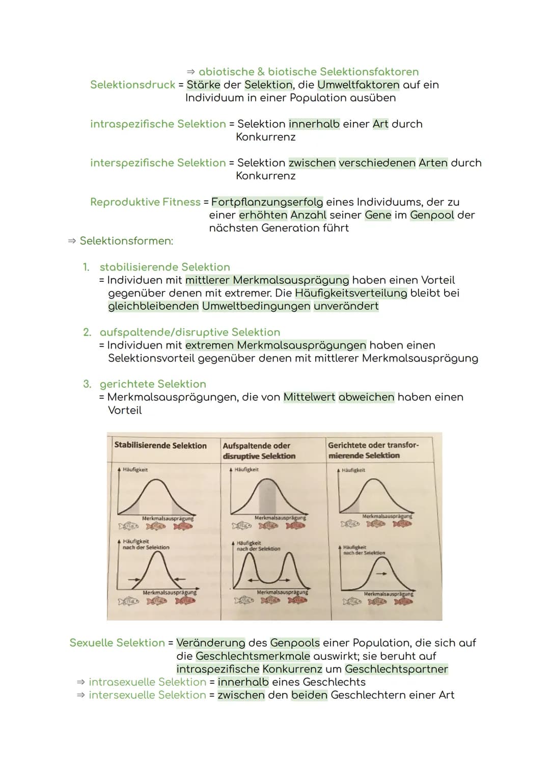 Lernzettel Evolution
Evolution = Die allmähliche Veränderung und Entwicklung vererbbarer
Merkmale von Individuen einer Population durch das 